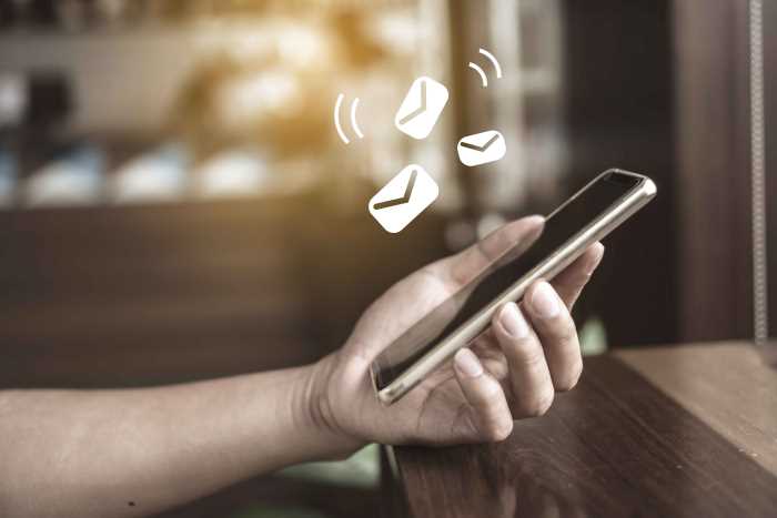 Website Development